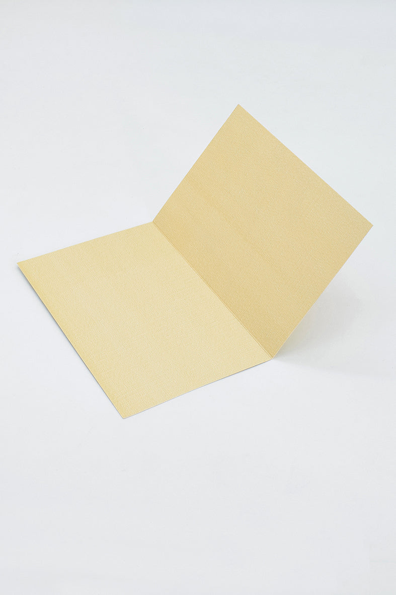 Textile Lable Printed Assorted Greeting Cards & Envelopes, Set of 6, 4x6