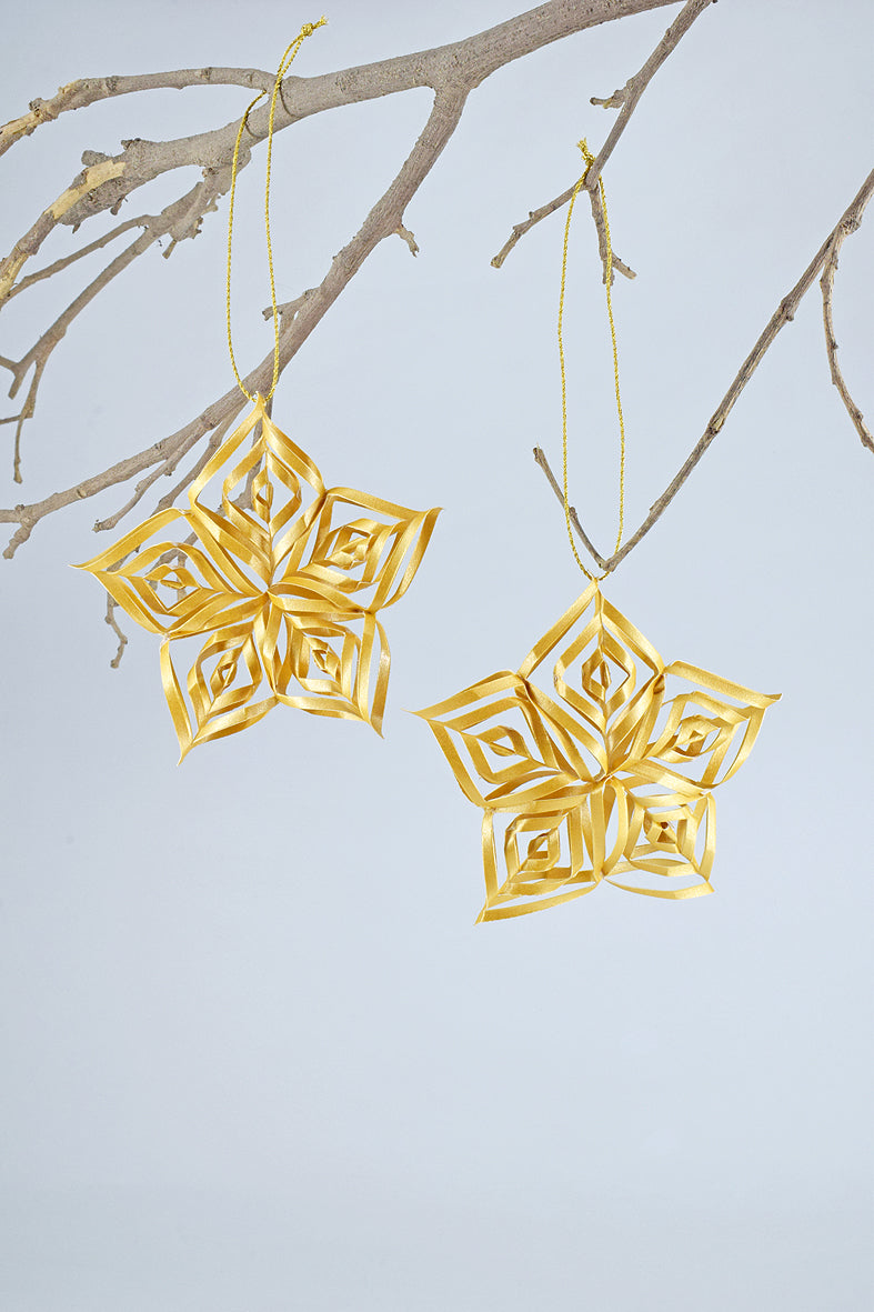 Ornament Curled Paper Star, Set of 2