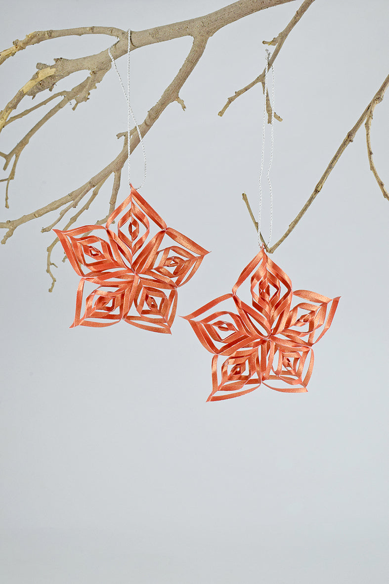 Ornament Curled Paper Star, Set of 2