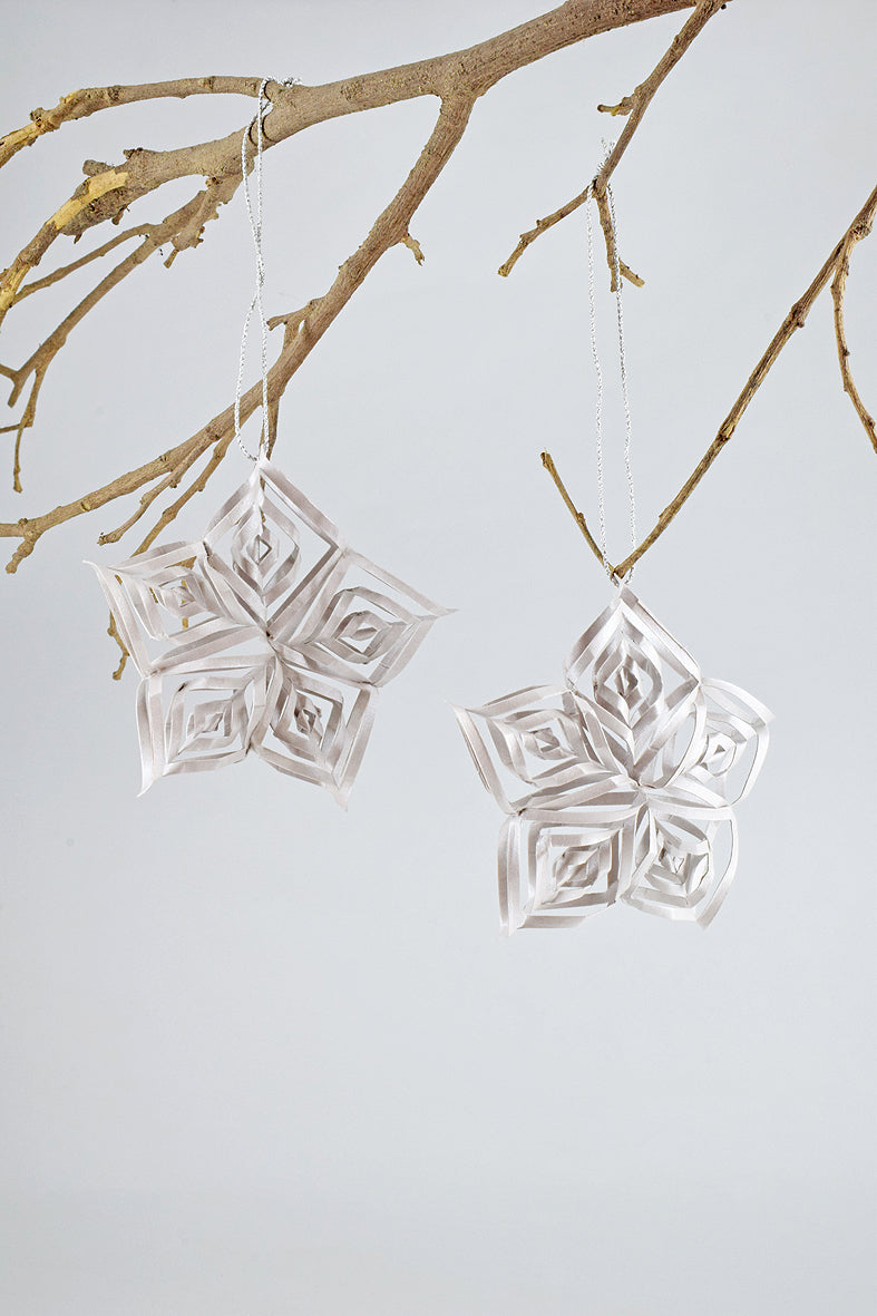 Ornament Curled Paper Star, Set of 2