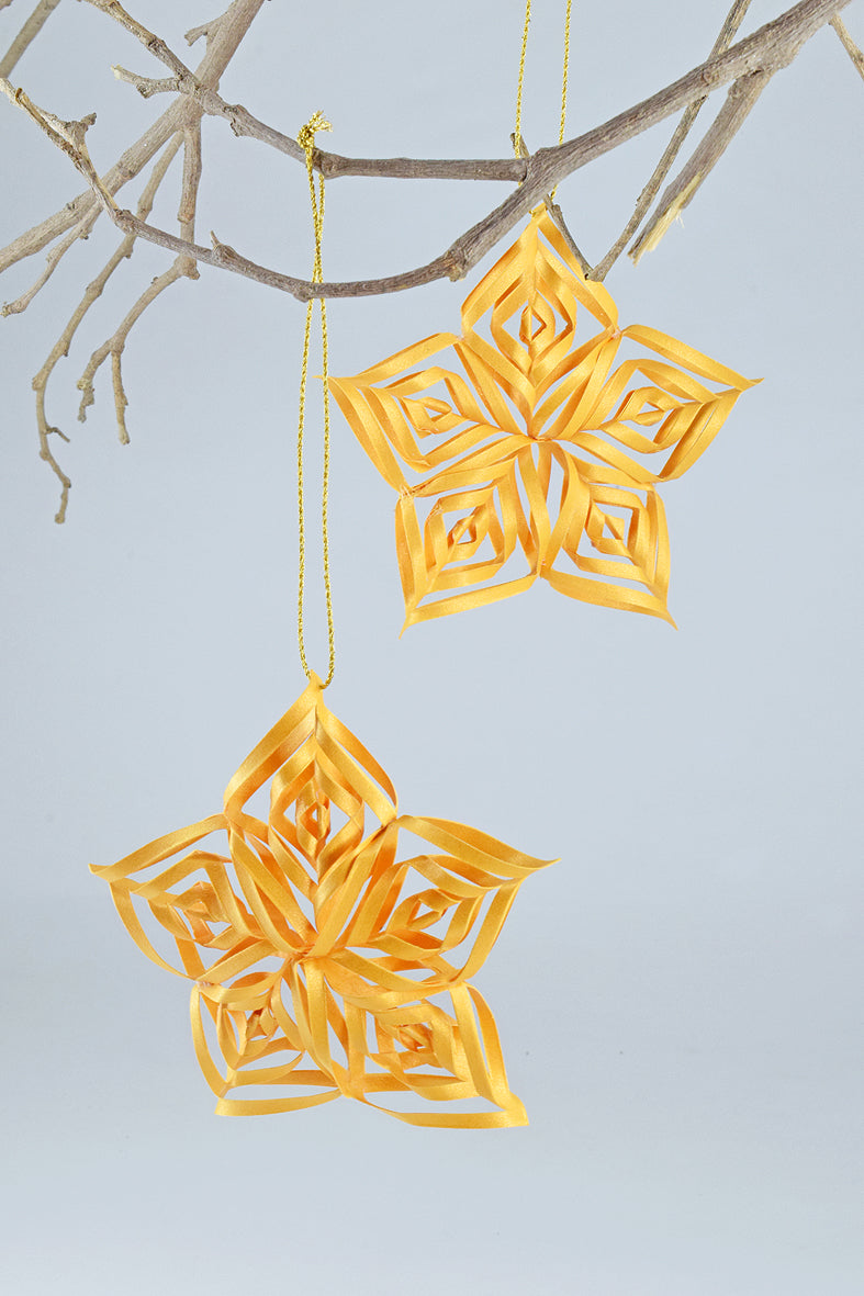 Ornament Curled Paper Star, Set of 2