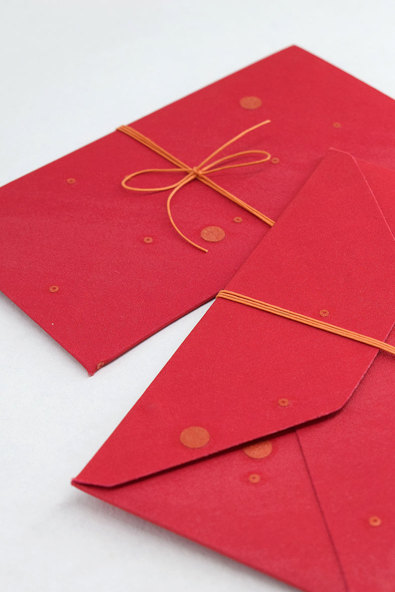 Organza Fabric Gift Envelope, Set of 4, 19x10