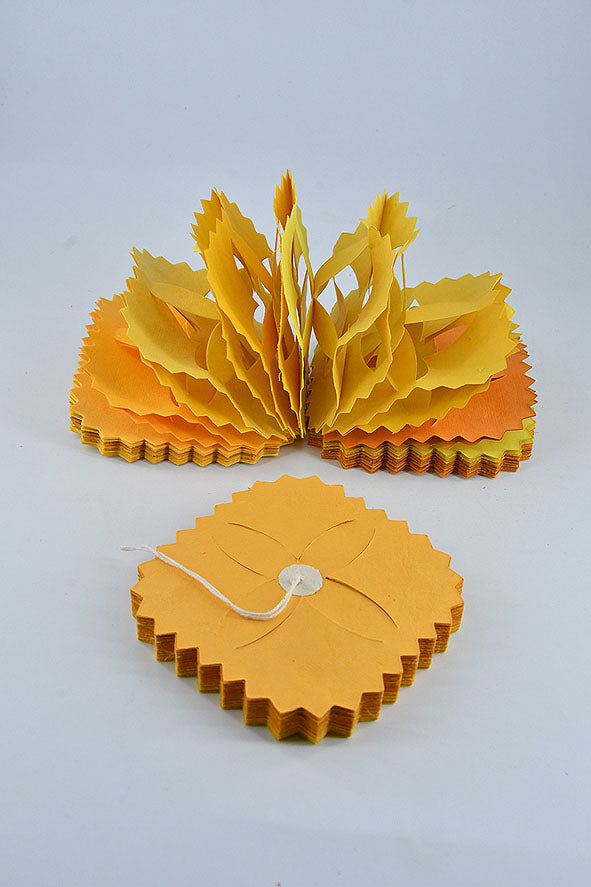 Paper Streamer, 2mtr