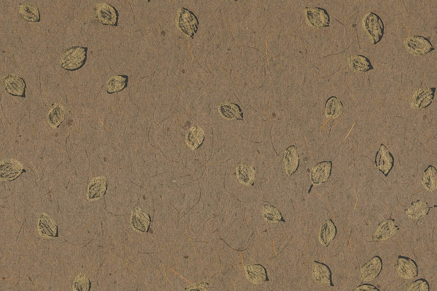 Cardamom Pods: Black & Gold Hand Block on Brown Earth with Coir Handmade Paper