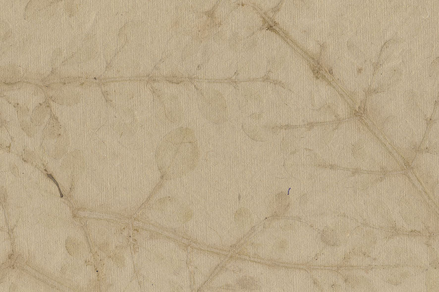 Leaves Impression: Beige Handmade Paper ~100gsm Set of 5 56x76cm each