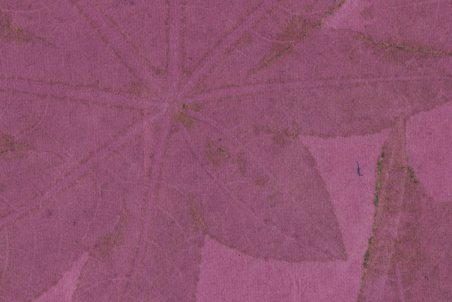 Leaves Impression: Clover Jute Cotton Mix Handmade Paper ~105gsm Set of 5 56x76cm each