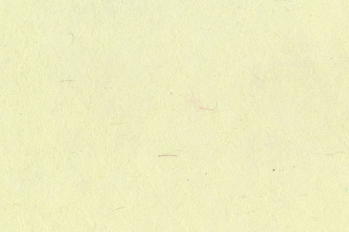 Clean Green Art Silk Fibre Handmade Paper