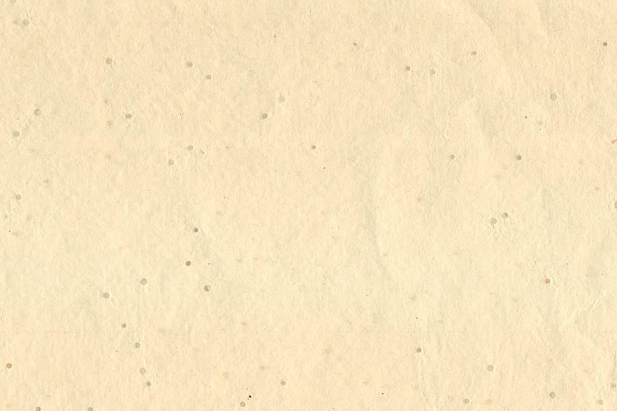 Assorted Neutrals Handmade Papers with Lumen Inclusions ~100gsm Set of 5 56x76cm each