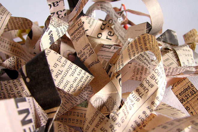 Newspaper