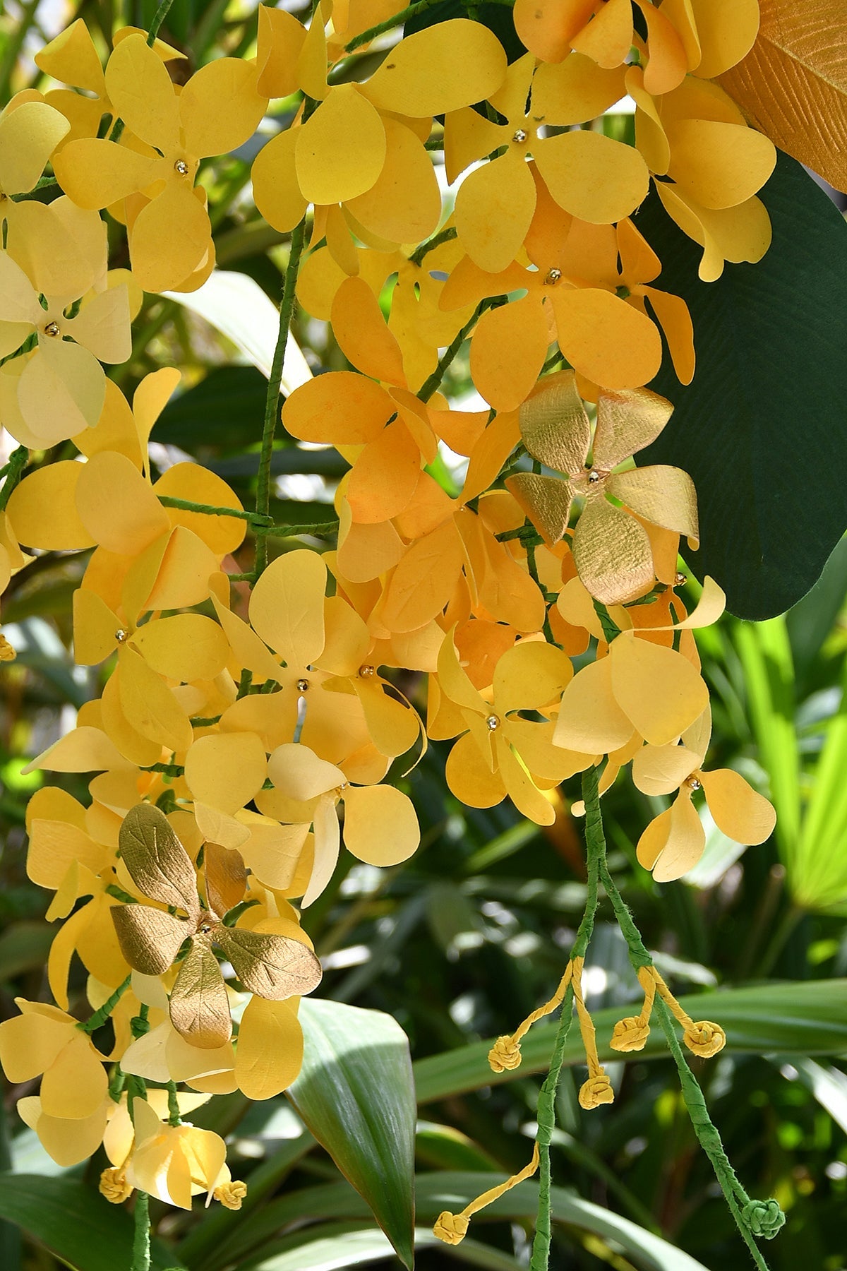 Kanikonna - Golden Abundance