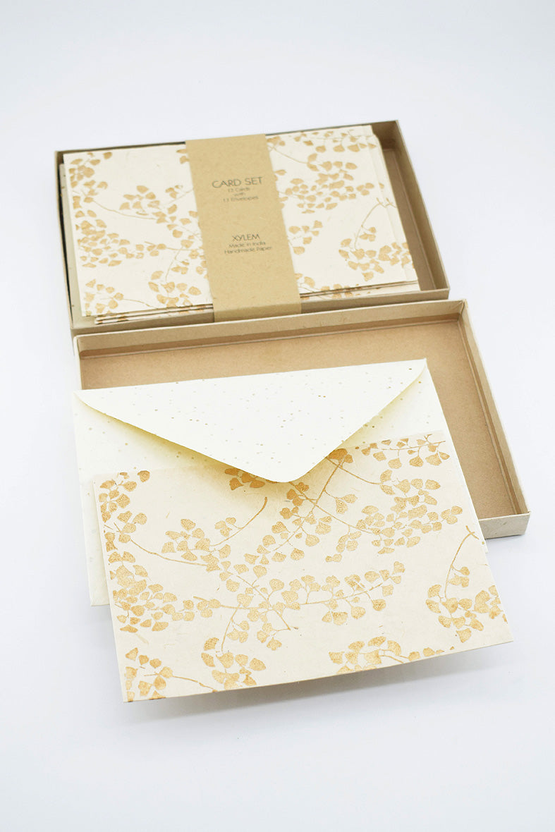 Card set compendium 12 cards with 12 Envelope