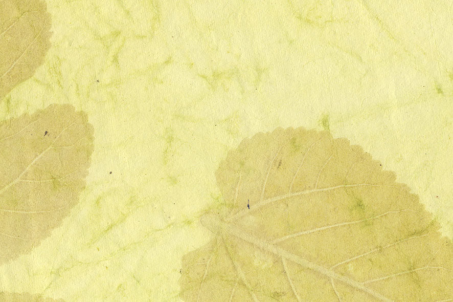 Leaves Impression: Tender Green Batik Handmade Paper ~100gsm Set of 5 56x76cm each