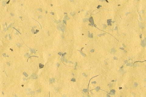 Tuscan Yellow Banana Fibre with Fenugreek | Rickshaw Recycle