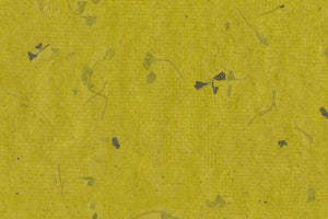 Golden Green Banana Fibre with Fenugreek | Rickshaw Recycle