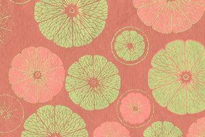 Citrus Sections: Lime Green on Tangerine Coral Handmade Paper ~100gsm Set of 5 50X70cm each
