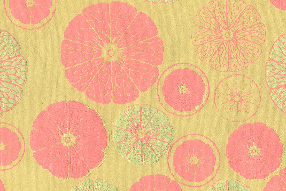 Citrus Sections: Tangerine Coral on Dandelion Yellow Handmade Paper ~100gsm Set of 5 50X70cm each