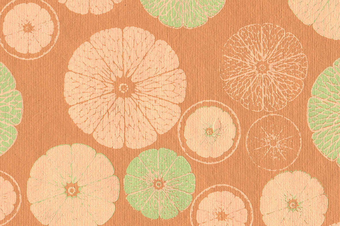 Citrus Sections: Tangerine Coral on Sun Orange Handmade Paper ~100gsm Set of 5 50X70cm each