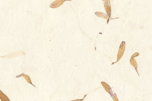 Warm White with Aster Petals Handmade Paper ~100gsm Set of 5 56x76cm each