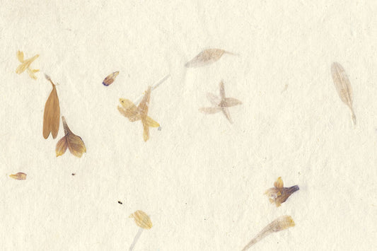 Ivory White with Navranga Petals & Grass Handmade Paper ~90gsm Set of 5 56x76cm each