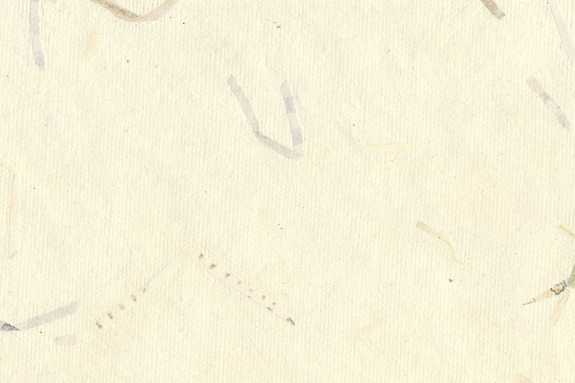 White with Whites Naturals Mixed Strips Handmade Paper