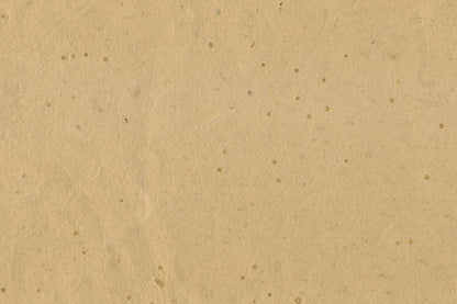 Assorted Neutrals Handmade Papers with Lumen Inclusions ~100gsm Set of 5 56x76cm each