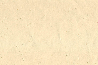 Assorted Neutrals Handmade Papers with Lumen Inclusions ~100gsm Set of 5 56x76cm each