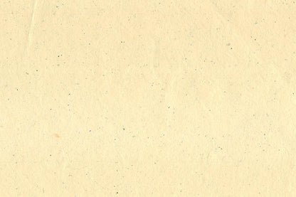 Assorted Neutrals Handmade Papers with Lumen Inclusions ~100gsm Set of 5 56x76cm each