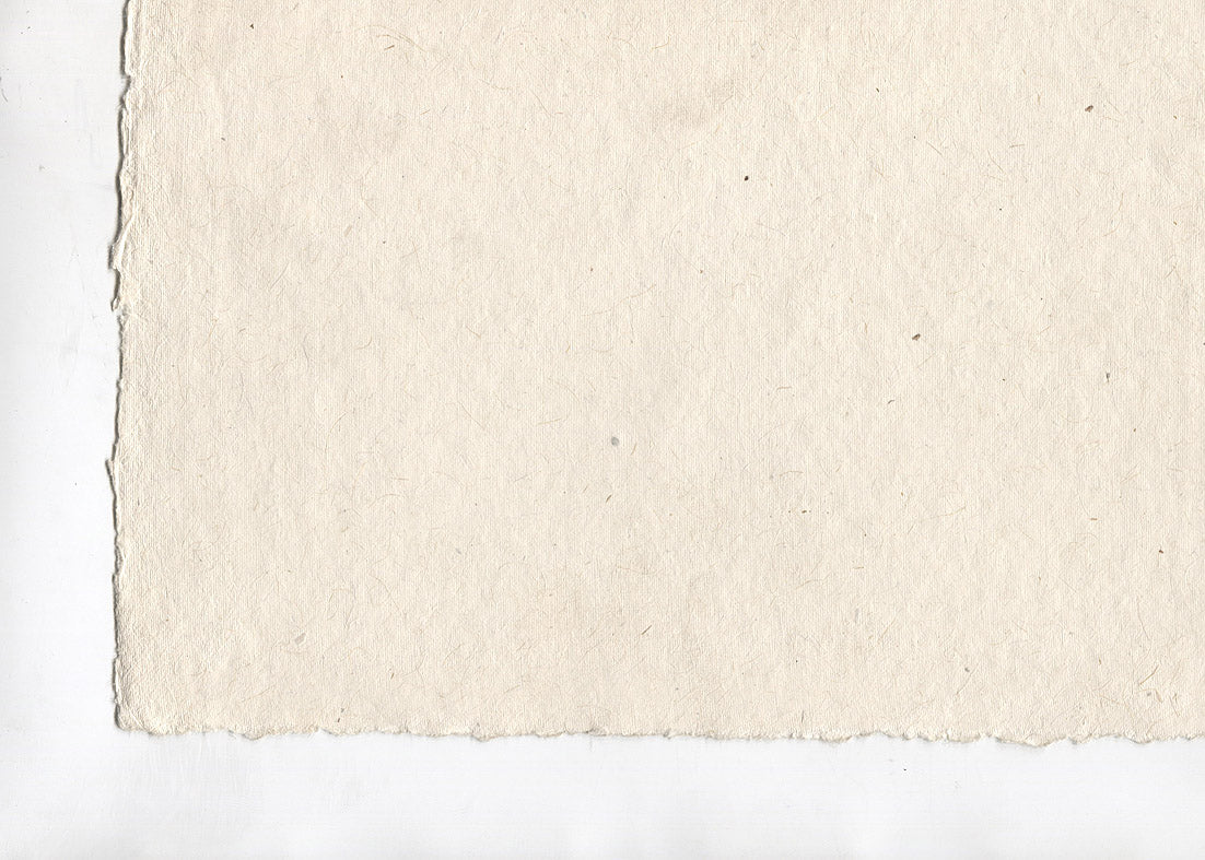 White Raglan Paper Natural White Deckle Edged Cotton Rag Handmade Paper Online – Rickshaw ...