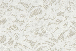 Lace Surface: White on Cement Handmade Paper | Rickshaw Recycle