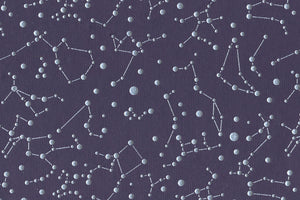Constellations Silver on Aubergine HMP | Rickshaw Recycle