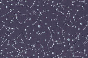 Silver on Aubergine Constellations Printed Handmade Paper Online