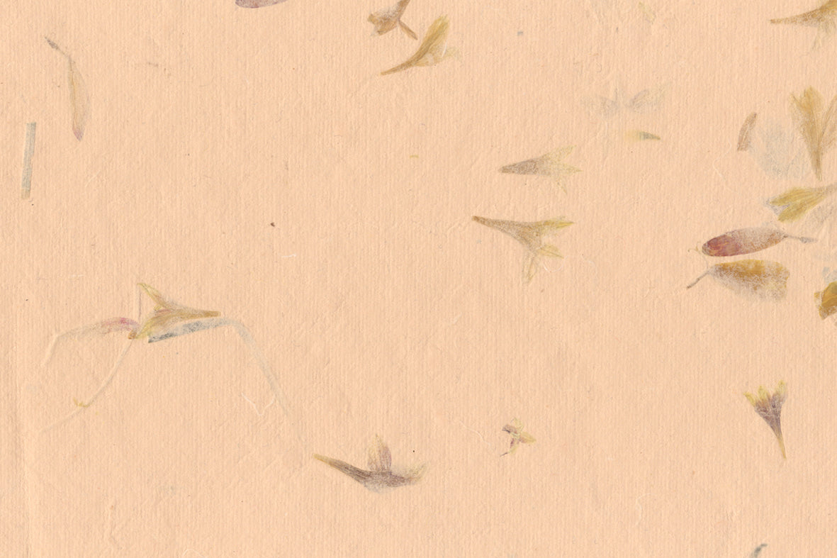 Pink with Mixed Flowers & Grass Handmade Paper | Rickshaw Recycle