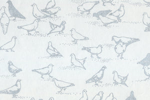 Pigeons Silver on Ice Gray Handmade Paper | Rickshaw Recycle