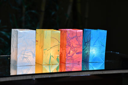 Festive Décor: Glow Bags with Battery Lights