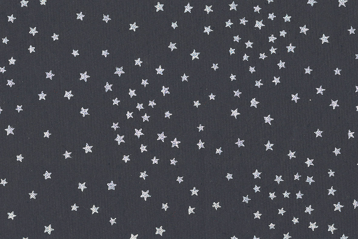 Starry Sky: Silver on Indigo Handmade Paper | Rickshaw Recycle